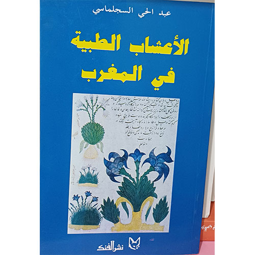 الأعشاب الطبية في المغرب