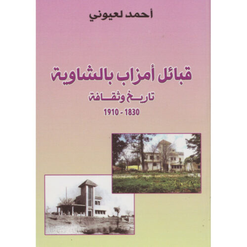 قبائل أمزاب بالشاوية ، تاريخ وثقافة